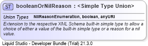 XSD Diagram of booleanOrNilReason