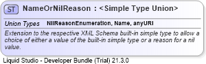 XSD Diagram of NameOrNilReason